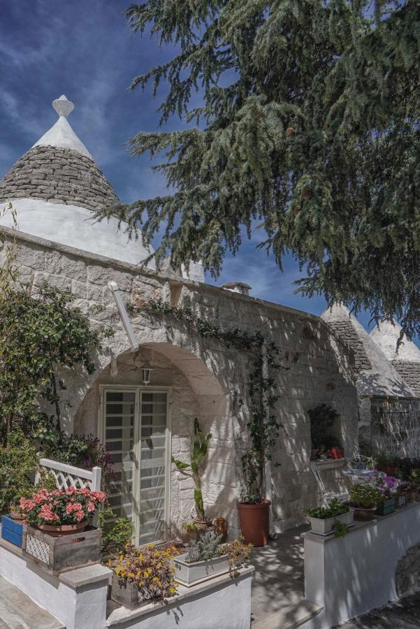 Trulli Di Puglia - Casa Vacanze In Valle D'Itria 马丁纳弗兰卡 外观 照片