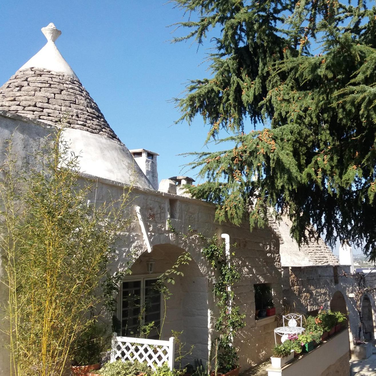 Trulli Di Puglia - Casa Vacanze In Valle D'Itria 马丁纳弗兰卡 外观 照片