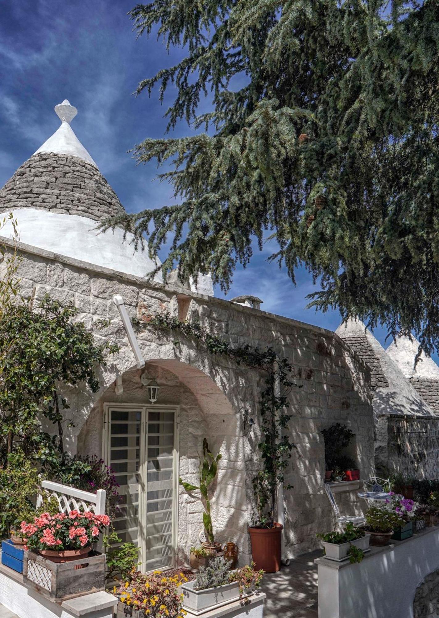 Trulli Di Puglia - Casa Vacanze In Valle D'Itria 马丁纳弗兰卡 外观 照片